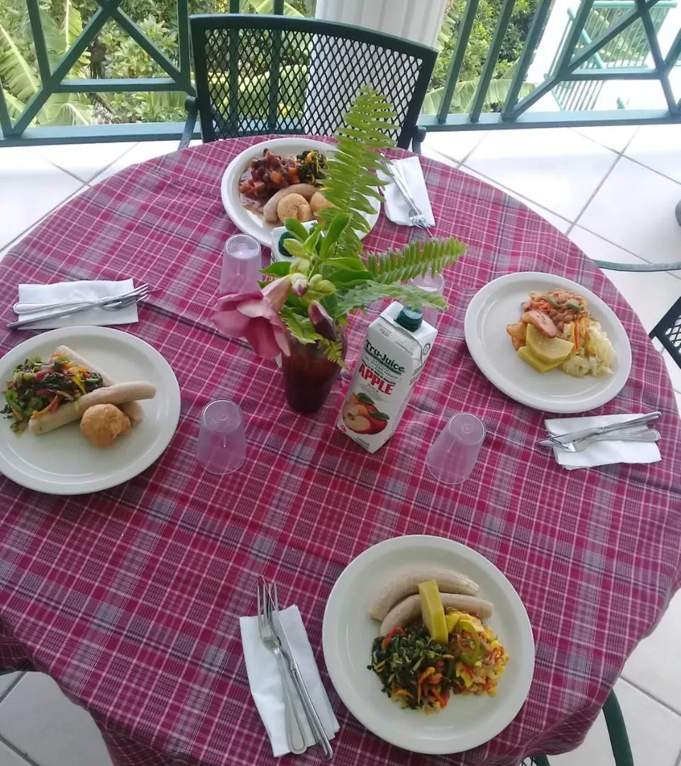 Bed & Breakfast Pink Rock Inn Bed And Breakfast Ocho Rios Jamaica